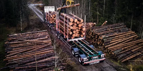 Lastbilssläp för timmer