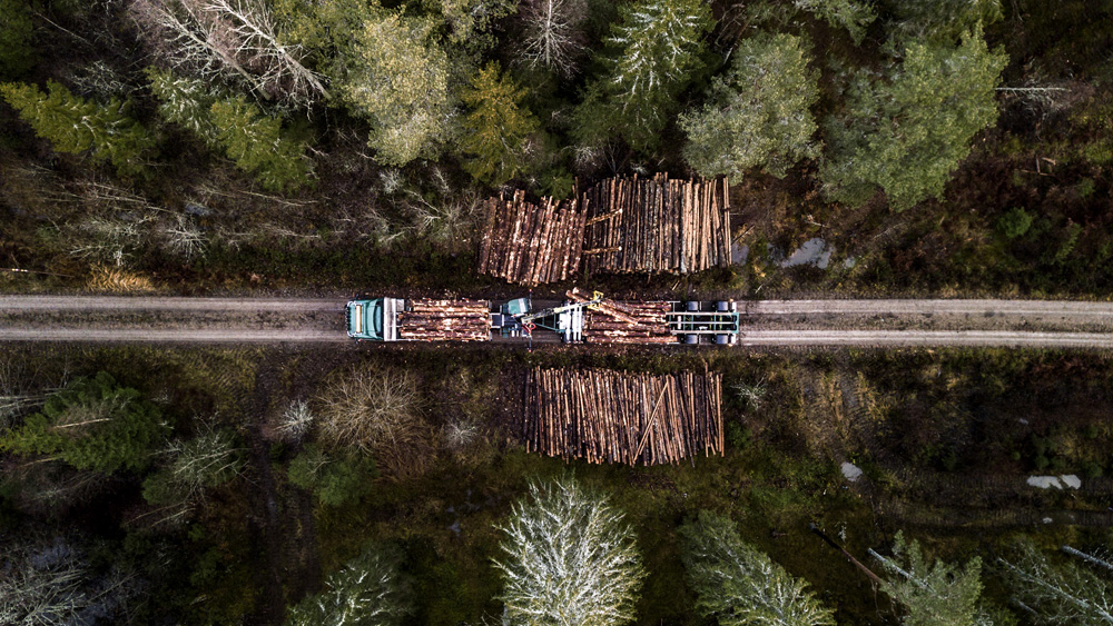 timmervagn som kör iväg